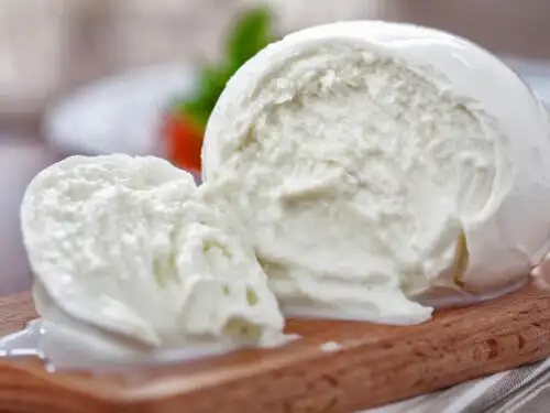 Mozzarella-Cheese